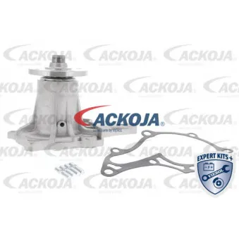 ACKOJA A70-50016 - Pompe à eau