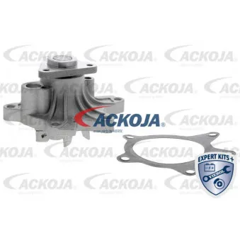 ACKOJA A70-50017 - Pompe à eau
