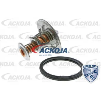 Thermostat d'eau ACKOJA A70-99-0012