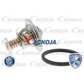 ACKOJA A70-99-0013 - Thermostat d'eau