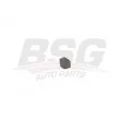 BSG BSG 15-700-028 - Suspension, radiateur