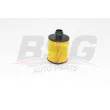 BSG BSG 25-140-002 - Filtre à huile