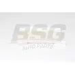 BSG BSG 25-145-001 - Filtre, air de l'habitacle