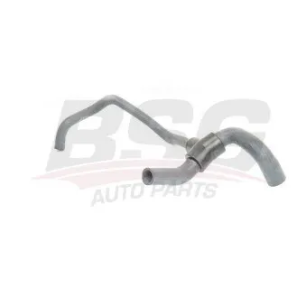 BSG BSG 25-720-021 - Durite de radiateur