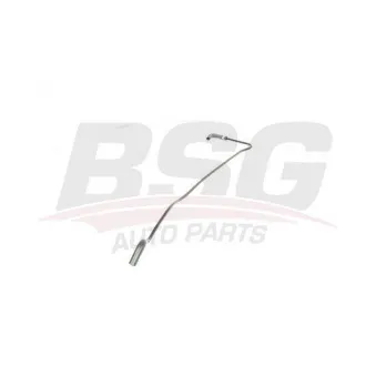 Tuyauterie de carburant BSG BSG 25-725-004