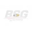 BSG BSG 25-840-005 - Sonde de température, liquide de refroidissement