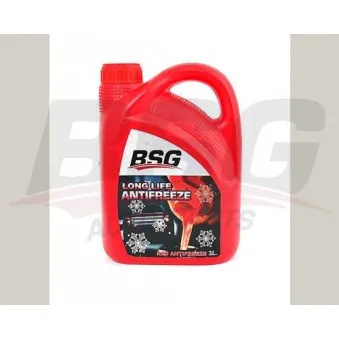 BSG BSG 30-555-002 - Antigel