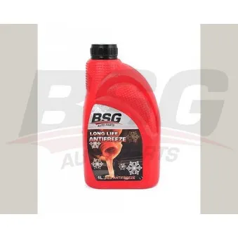 BSG BSG 30-555-005 - Antigel