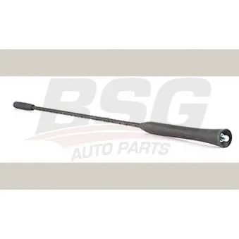 Antenne BSG OEM 1695502