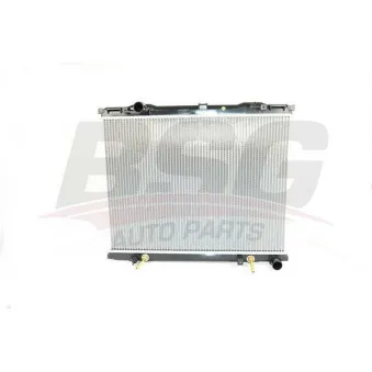 Radiateur, refroidissement du moteur BSG OEM 253113E050