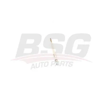 BSG BSG 40-870-005 - Bougie de préchauffage