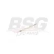 BSG BSG 40-870-006 - Bougie de préchauffage