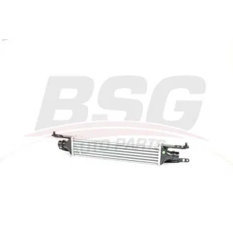 Intercooler, échangeur BSG BSG 65-535-003