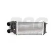 BSG BSG 70-535-001 - Intercooler, échangeur