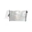 BSG BSG 75-520-002 - Radiateur, refroidissement du moteur