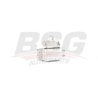 Gaine de suralimentation BSG BSG 90-720-164 pour AUDI A6 3.0 TDI quattro - 211cv