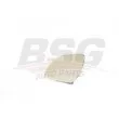 BSG BSG 90-910-038 - Verre de rétroviseur, rétroviseur extérieur