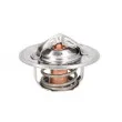 THERMOTEC D2FO001TT - Thermostat d'eau