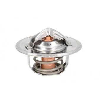 Thermostat d'eau THERMOTEC D2FO001TT