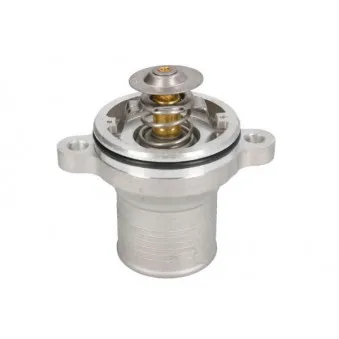 Thermostat d'eau THERMOTEC D2MF003TT