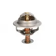 THERMOTEC D2RV006TT - Thermostat d'eau