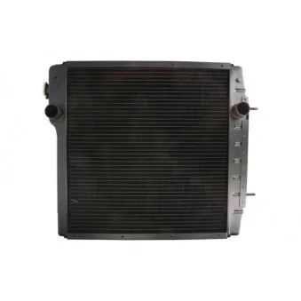 THERMOTEC D7AG010TT - Radiateur, refroidissement du moteur