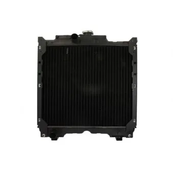 Radiateur, refroidissement du moteur THERMOTEC OEM 5169271