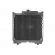 THERMOTEC D7AG271TT - Radiateur, refroidissement du moteur