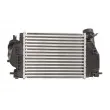 THERMOTEC DA1005TT - Intercooler, échangeur