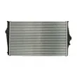 THERMOTEC DAV003TT - Intercooler, échangeur