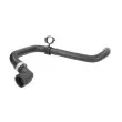 THERMOTEC DNX038TT - Durite de radiateur