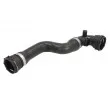 Durite de radiateur THERMOTEC [DWB158TT]