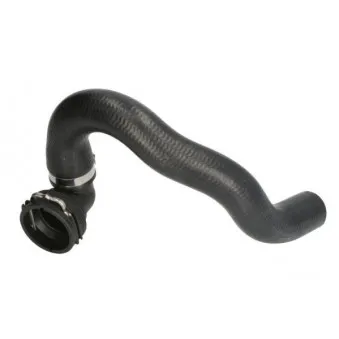 Durite de radiateur THERMOTEC [DWF060TT]