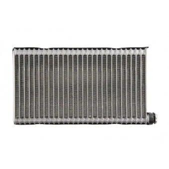 Evaporateur climatisation THERMOTEC KTT150038 pour SCANIA P,G,R,T - series R 730 - 730cv