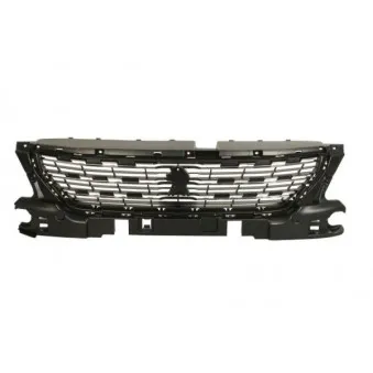 Grille de radiateur BLIC 6502-07-5511993P