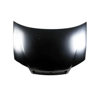 Capot-moteur BLIC 6803-00-2023281P