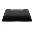 BLIC 6803-00-9520280P - Capot-moteur