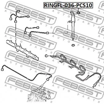 FEBEST RINGFL-036-PCS10 - Bague d'étanchéité, injecteur