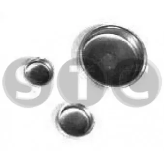 Bouchon de dilatation STC [T402548]
