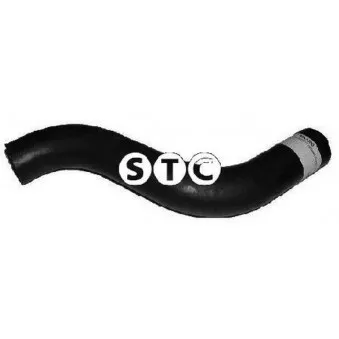 STC T408209 - Durite de radiateur