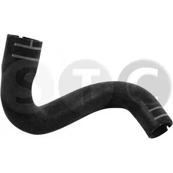 Durite de radiateur STC [T497039]