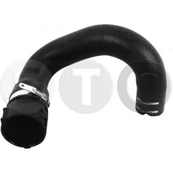 STC T497067 - Durite de radiateur