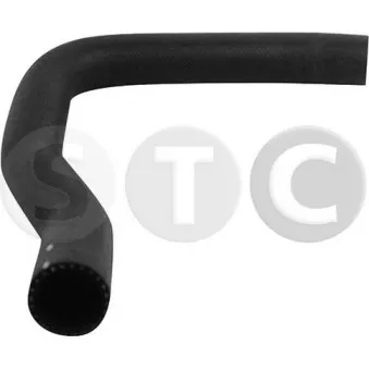 STC T497311 - Durite de radiateur
