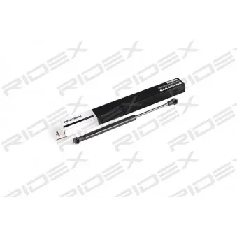 RIDEX 219G0354 - Vérin, capote