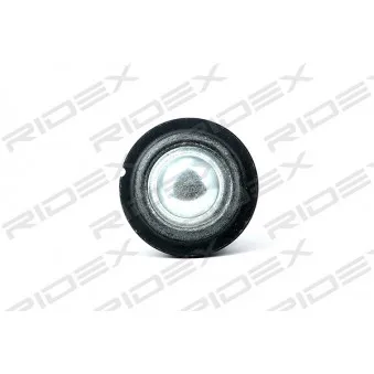 Rotule de suspension RIDEX OEM 545050794R