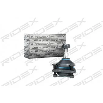 Rotule de suspension RIDEX OEM 7701451904
