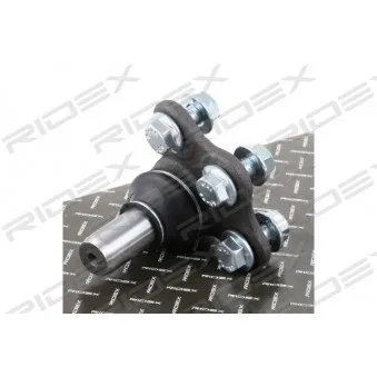 Rotule de suspension RIDEX 2462S0137