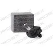 RIDEX 2462S0201 - Rotule de suspension