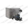 RIDEX 2462S0243 - Rotule de suspension