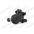 RIDEX 2462S0254 - Rotule de suspension